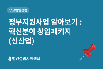 정부지원사업 : 혁신분야 창업패키지(신산업)