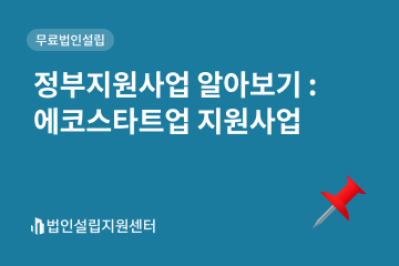 정부지원사업 : 에코스타트업