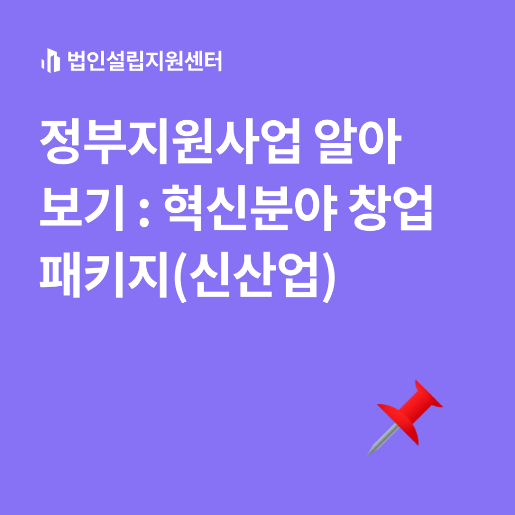 정부지원사업 : 혁신분야 창업패키지(신산업)