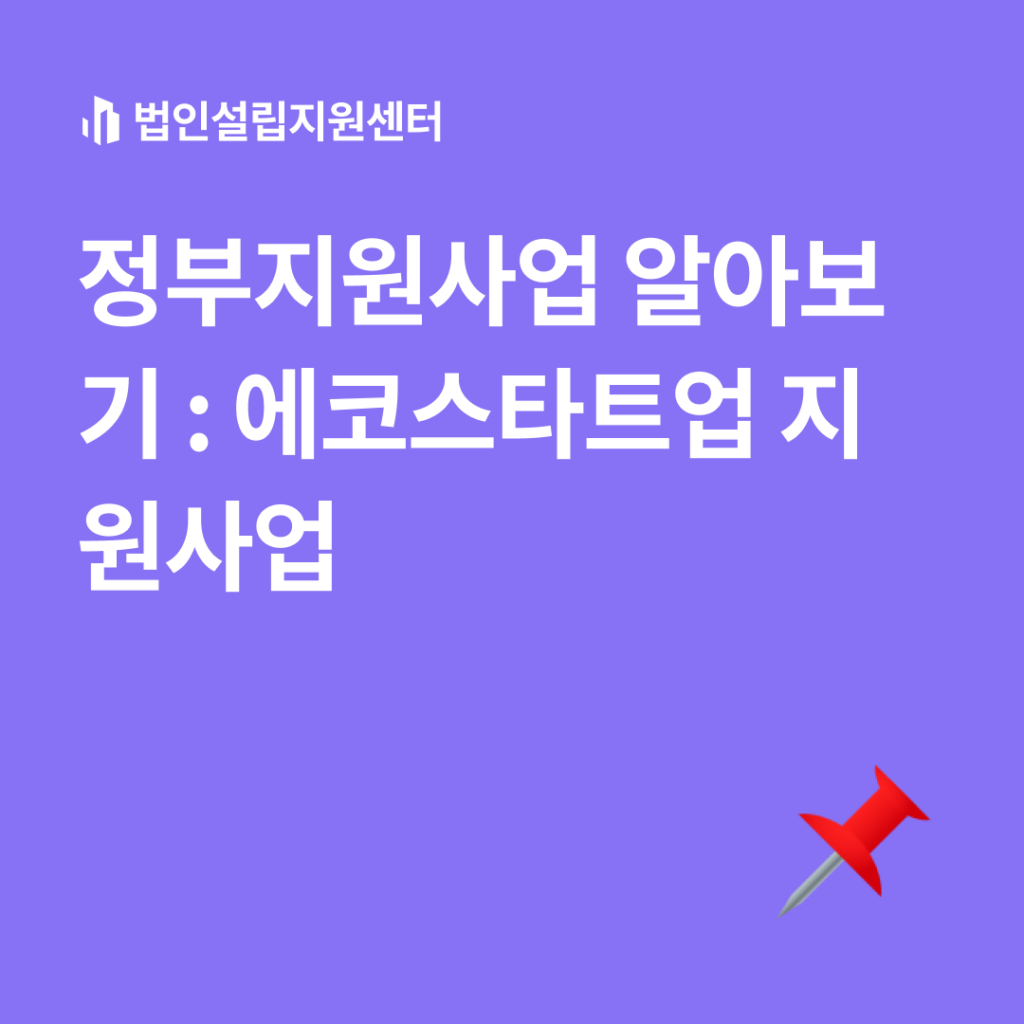 정부지원사업 : 에코스타트업
